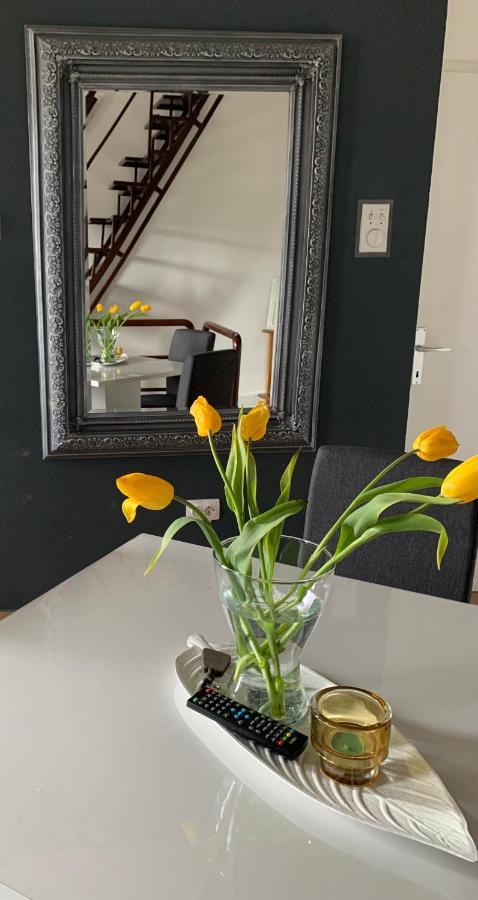 Guesthouse Vladimir & Ana Pancevo Ngoại thất bức ảnh