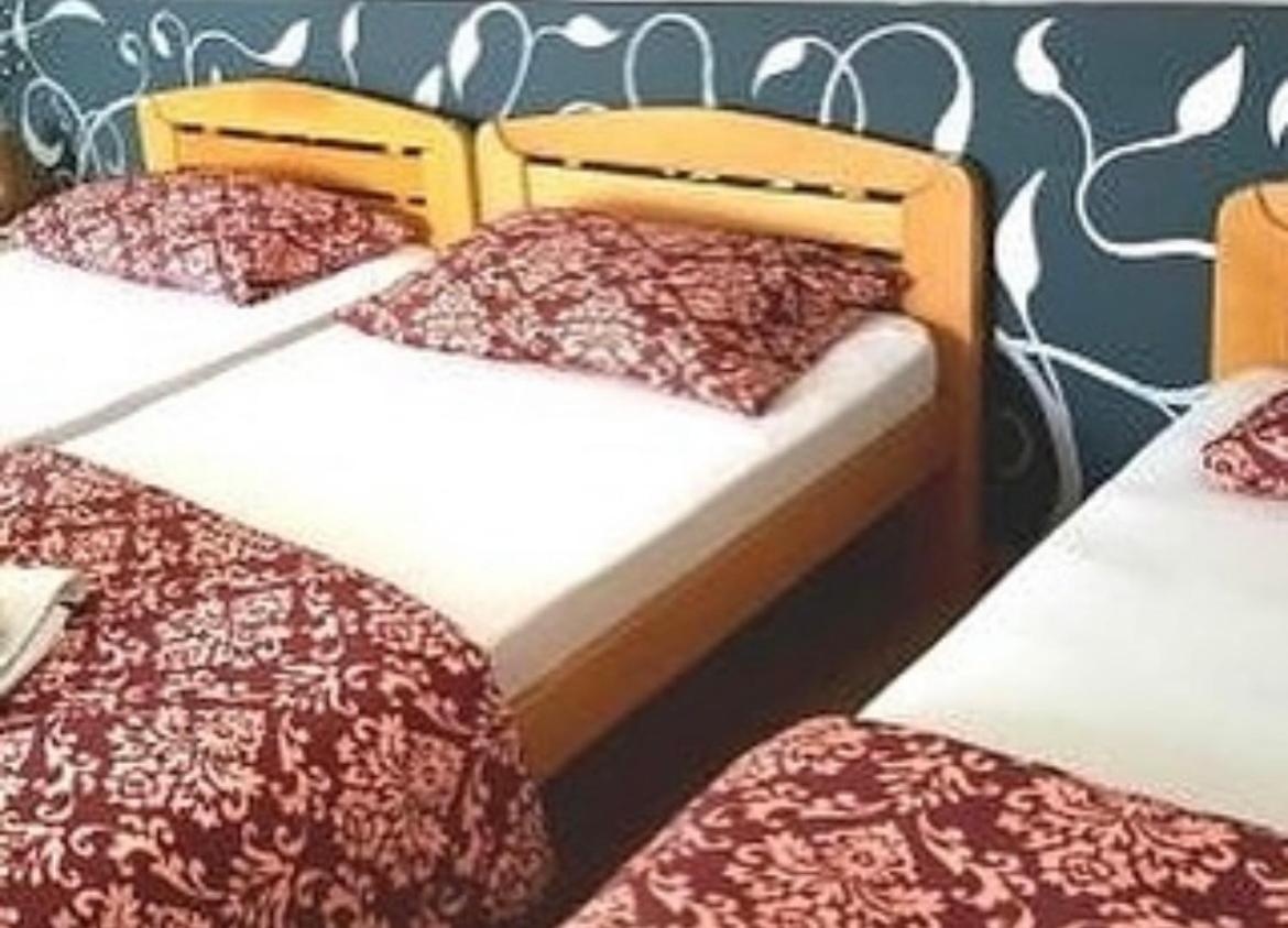 Guesthouse Vladimir & Ana Pancevo Ngoại thất bức ảnh